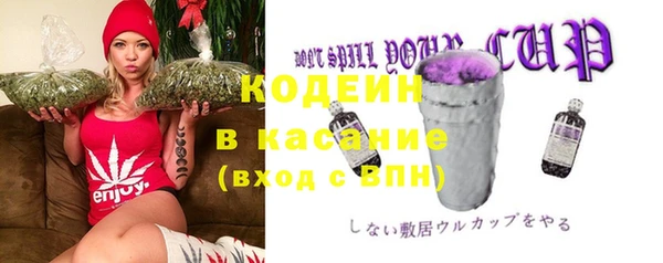 сатива Новодвинск