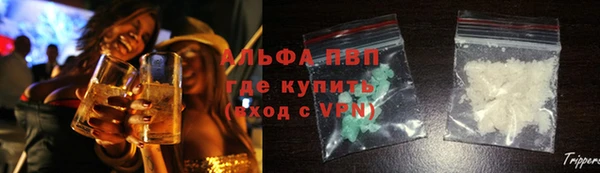 сатива Новодвинск