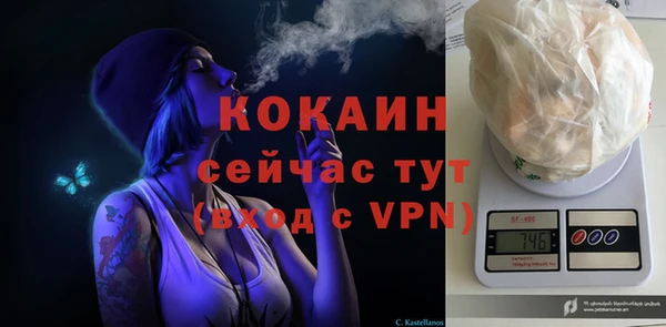 сатива Новодвинск