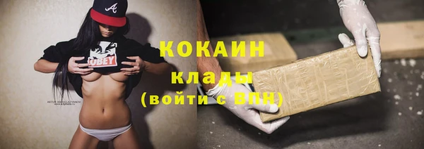 сатива Новодвинск