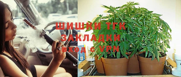 МДПВ Нея