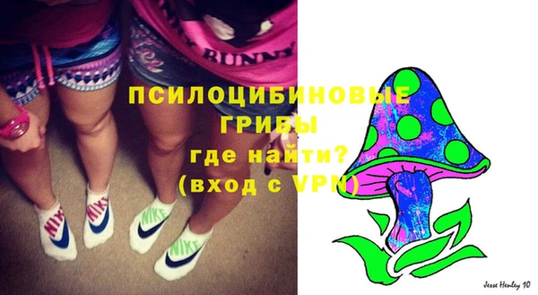 сатива Новодвинск