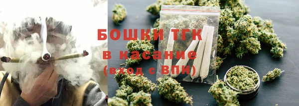 сатива Новодвинск