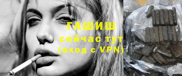 сатива Новодвинск