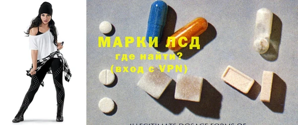 сатива Новодвинск
