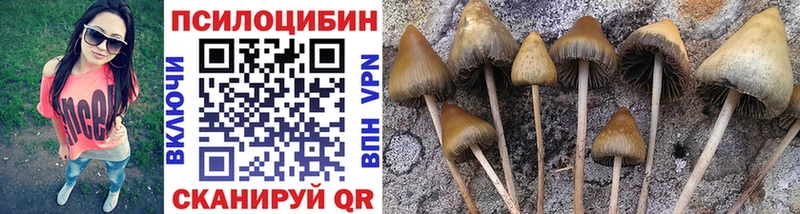 Галлюциногенные грибы Magic Shrooms  Ленинск 